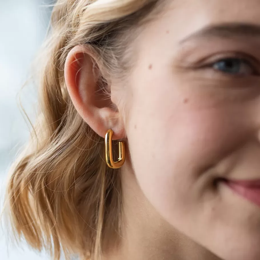 PURELEI Earrings*Earrings Hula