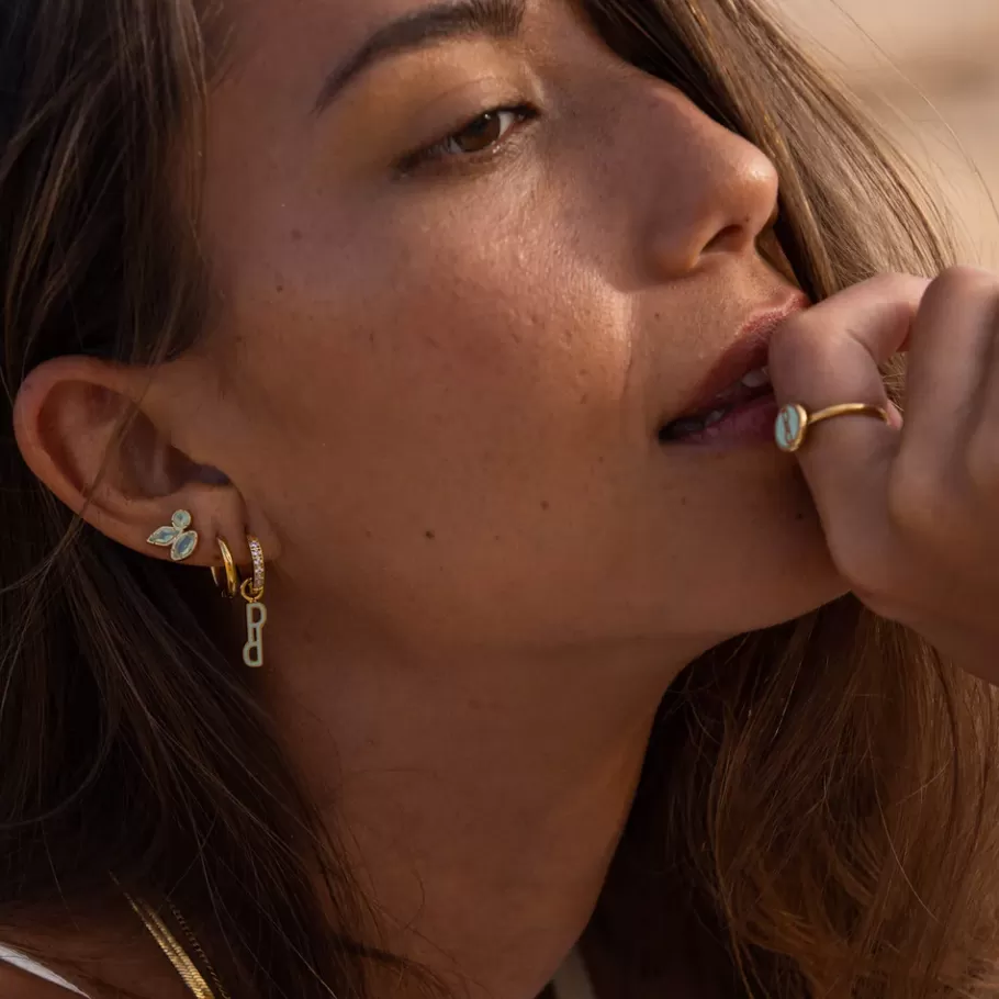 PURELEI Earrings*Earrings Positivity